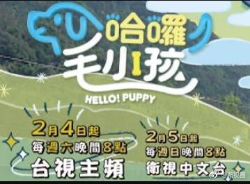 哈啰！毛小孩
